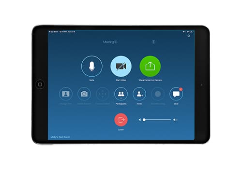 iPad Mini with Zoom Interface